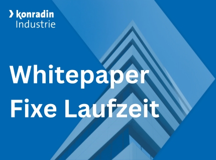 Das Coverbild der PDF zu Whitepaper Pay-per-Lead.